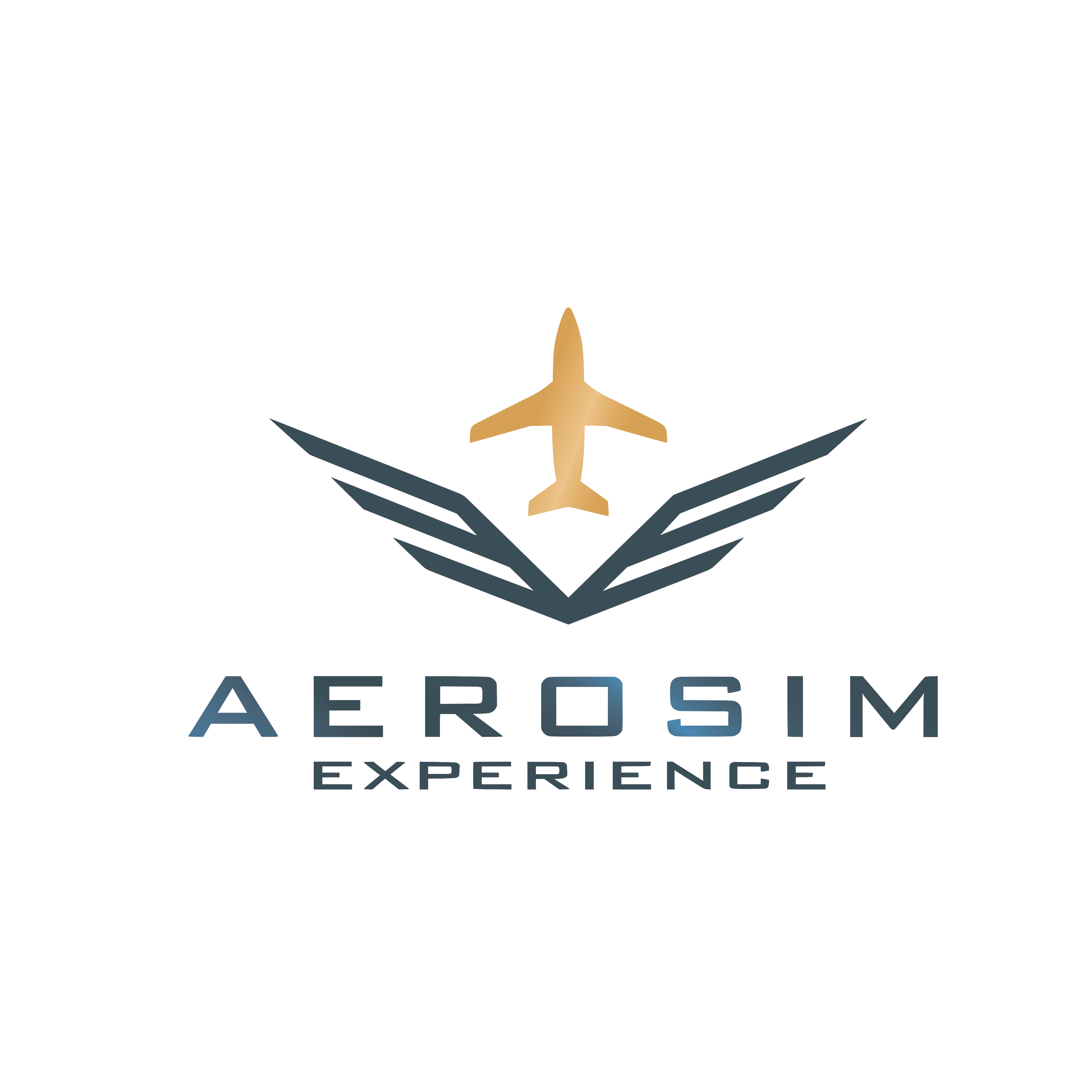 Aérosim Expérience